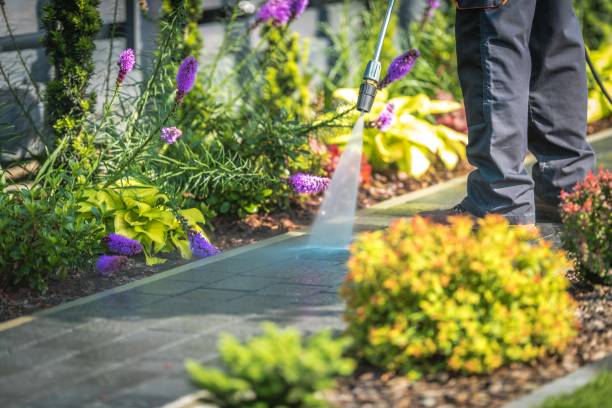 Best Driveway Cleaning and Restoration in Bronxville, NY